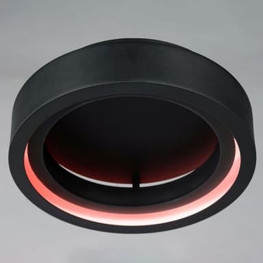 174-BEL-5066767