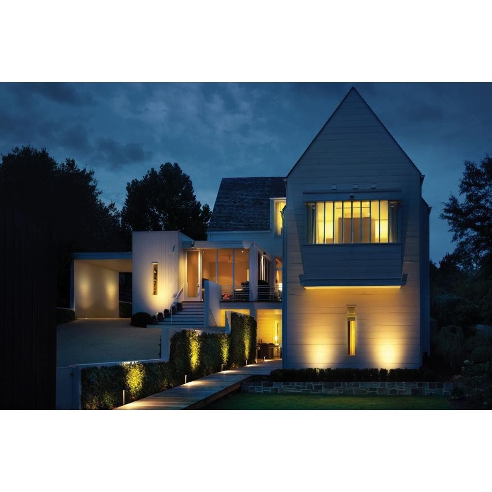 81-BEL-4530502