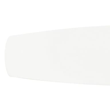 183-BEL-5066064